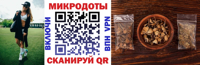 Галлюциногенные грибы Psilocybe  Ардон 